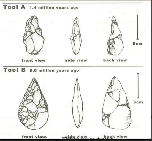 Image for topic: The diagram below shows the development of cutting tools in the Stone Age.