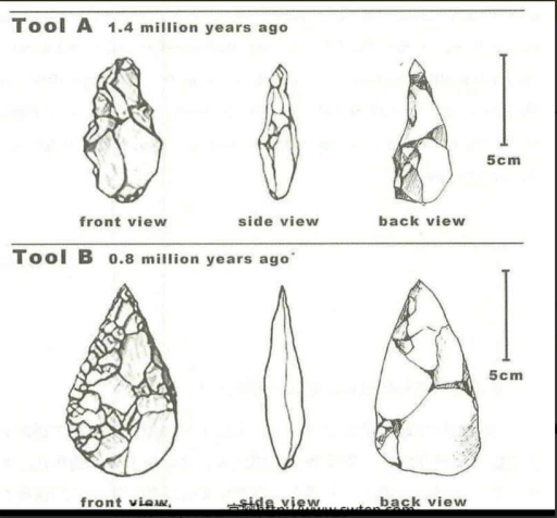 Band 7 The diagram below shows the development of cutting tools