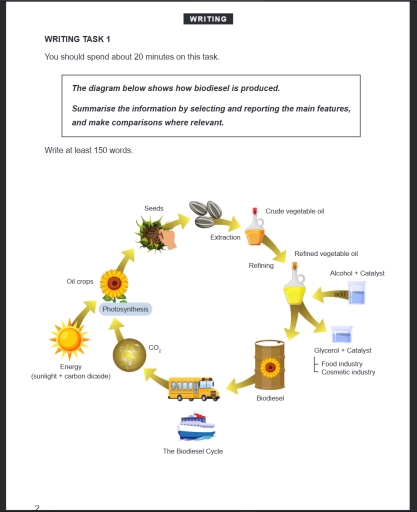 Image for topic: The diagram below shows how biodiesel is produced. Summarize the information by selecting and reporting the main features, and make comparisons where relevant.