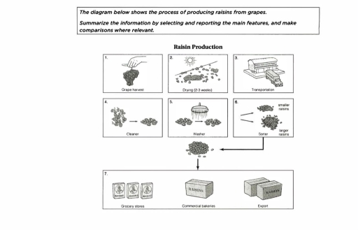 Image for topic: The diagram below shows the process of producing raisins from grapes.