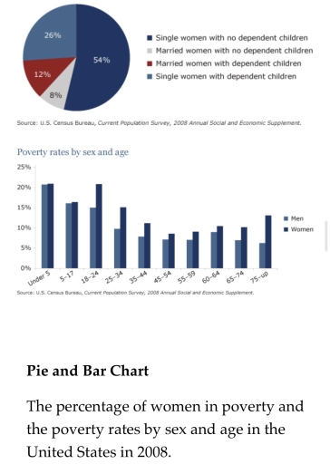 Image for topic: The percentage of women in poverty and the poverty rates by sex and age in the United States in 2008.