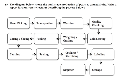 Image for topic: The diagram below shows the multistage production of pears as canned fruits. Write a report for a university lecturer describing the process below.