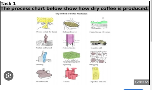 Image for topic: The process chart below show how dry coffee is produced