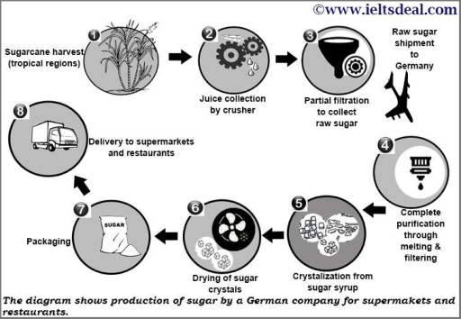Image for topic: The diagram shows production of sugar by a German company for supermarkets and restaurants