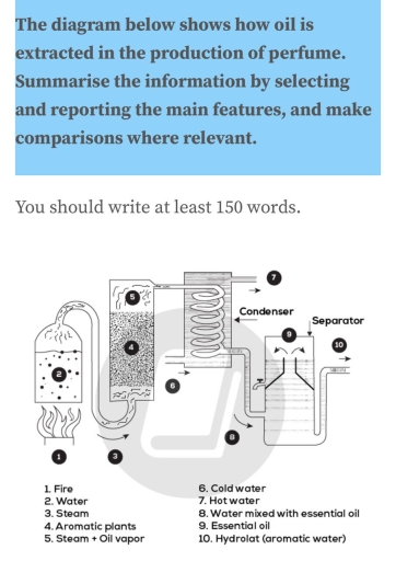 Image for topic: The diagram below shows how oil is extracted in the production of perfume. Summarise the information By selecting and reporting the main features, And make comparisons where are relevant.