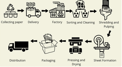 Image for topic: The diagram illustrates the process of recycling paper, from collection through to the final stage of distribution. Summarize the information by selecting and reporting the main features.