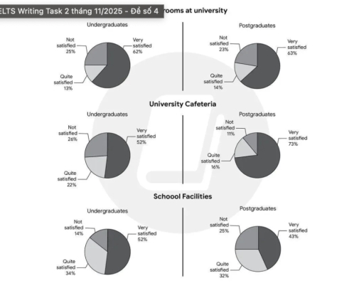 Image for topic: The charts show how satisfied students were with several types of facilities at a university in the UK in the year 2007. Provide an overview of the information by identifying and describing the key details, and include comparisons where appropriate.