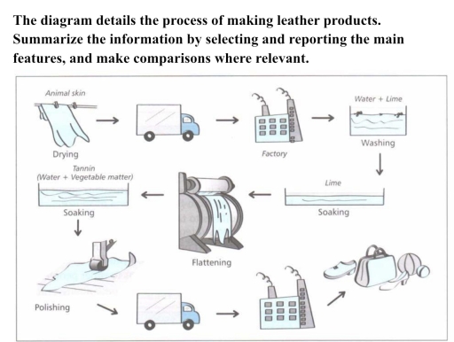 The diagram details the process of making leather products. Summarize ...