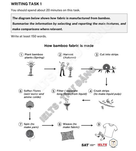 Image for topic: The diagram below shows how fabric is manufactured from bamboo . Summarise the information by selecting and reporting the main features , and make comparisons where relevant .