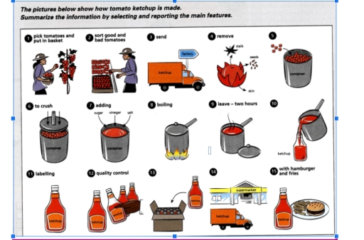 Image for topic: The pictures below show how tomatoes ketchup is made Summarize the information by seclecting and reporting the main features