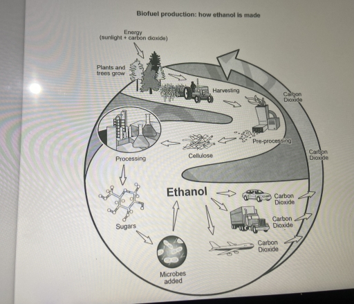 Image for topic: You should spend about 20 minutes on this task. The diagram below shows how a biofuel called ethanol is produced. Summarise the information by selecting and reporting the main features, and make comparisons where relevant.