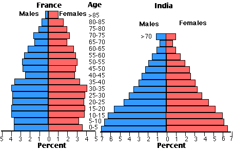 Image for topic: The charts below compare the age structure of the populations of France and India in 1984. Write a report for a university, lecturer describing the information shown below. Summarise the information by selecting and reporting the main features and make comparisons where relevant.