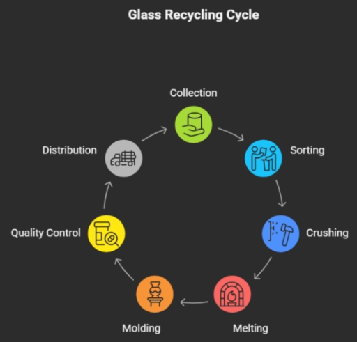 Image for topic: The infographic illustrates the seven-stage circular process of the glass recycling cycle.