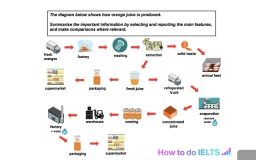 Image for topic: The diagram illustrates process of orange production with different ways