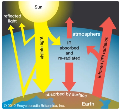 Image for topic: the diagram below shows the process of greenhouse effect on the earth