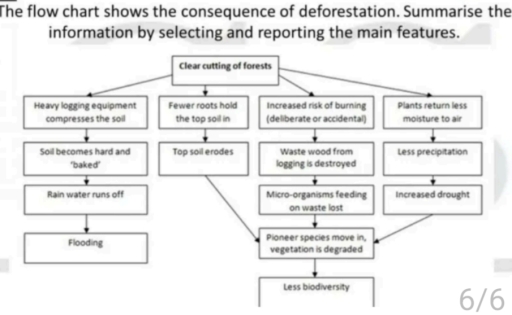 Image for topic: The flow chart shows the consequence of deforestation. Summarise the information by selecting and reporting the main features.