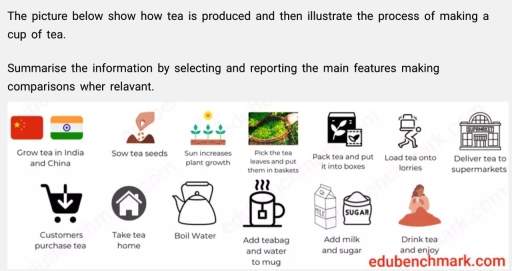 the picture below shows how tea is produced and then illutrate the ...