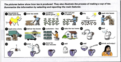 Image for topic: The pictures below show how tea produced. They also illustrate the process of making a cup of tea. Summarize the information by selecting and reporting the main features.