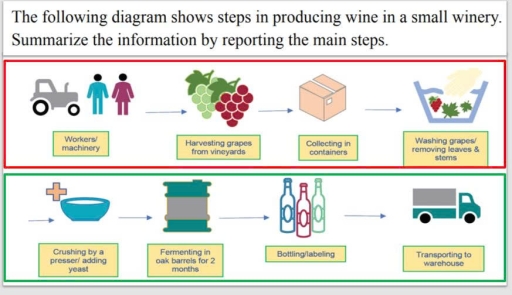 Image for topic: the following diagram shows steps in producing wine in a small winery. Summarize the information by reporting the main steps