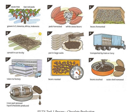 Image for topic: The illustrations show how chocolate is produced summarize information by selecting and Reporting the main features and make comparison where relevant