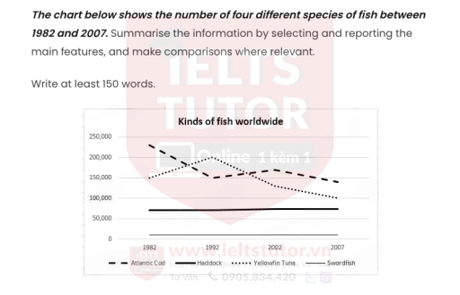 Image for topic: The chart below shows the number of four different species of fish between 1982 and 2007. Summarise the information by selecting and reporting the main features, and make comparisons where relevant.