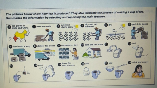 Image for topic: The presented pictures demonstrates step by step how to manufacture tea and how to make a cup of tea.