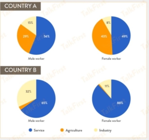 Image for topic: The pie charts show the labour force by gender in three separate sectors in countries A and B.