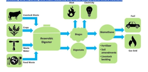Image for topic: The image below depicts the process of Bio gas. Summarise the information by selecting and reporting the main features, and make comparisons where relevant.