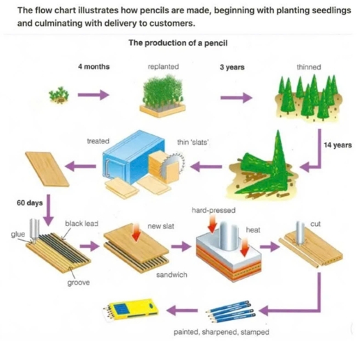 Band 5: The flow chart illustrates how pencils are made, beginning with ...