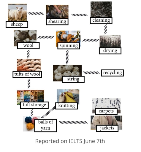 Image for topic: This is my IELTS writing task 2 sample answer essay on the topic of biofuel production and how ethanol is made.