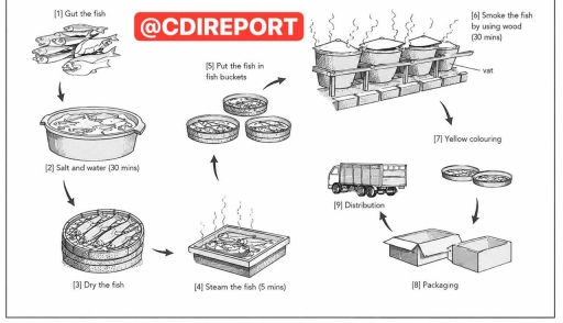 Image for topic: The diagram gives detailed information about how to make smoking fish in a small scale.