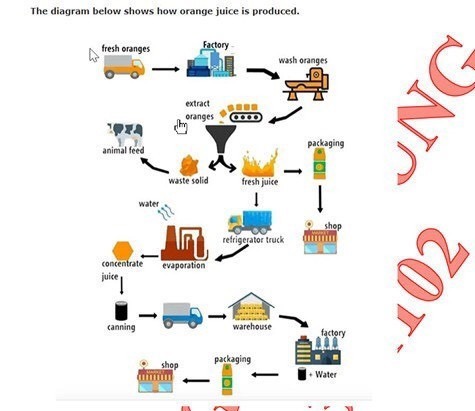 Image for topic: The diagram below shows how orange juice is produce. Summarise the information by selecting and reporting the main features, and make comparisons where relevant.