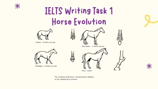 Image for topic: The diagrams below show the development of the horse over a period of 40 million years. The evolution of the horse, with particular emphasis on the changing foot structure. Summarize the information by selecting and reporting the main features and make comparisons where relevant.