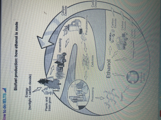 Image for topic: This is the biofuel production for ethanol to ba made summarize the map in at least 150 words