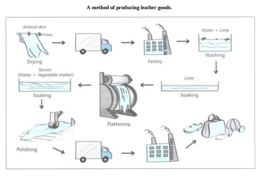 Image for topic: The diagram below shows how leather goods are produced. Summarize the information by selecting and reporting the main features, and making comparisons where relevant.