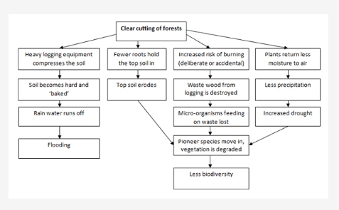 Image for topic: ou should spend about 20 minutes on this task. The flow chart illustrates the consequence of deforestation. Summarise the information by selecting and reporting the main features. You should write at least 150 words.