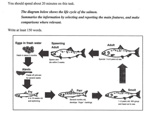 Image for topic: The diagram below shows the life cycle of the salmon. Summarize the information by seledting and reporting the main features, and make comparison where relevant.
