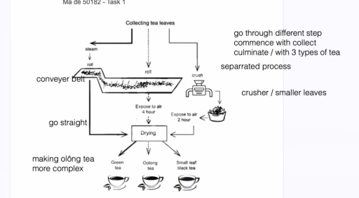 Image for topic: The diagram illustrates the process of producing tea from tea leaves.