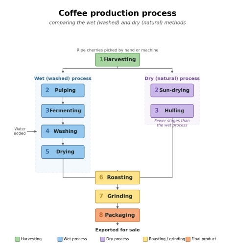 Image for topic: The diagram below shows the process of coffee production, comparing the wet and dry processing methods, from picking the cherries to the finished product ready for export. Summarise the information by selecting and reporting the main features, and make comparisons where relevant.