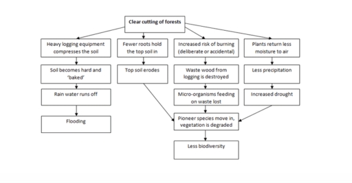 Image for topic: Writing Task 1 You should spend about 20 minutes on this task. The flow chart illustrates the consequence of deforestation. Summarise the information by selecting and reporting the main features. You should write at least 150 words.