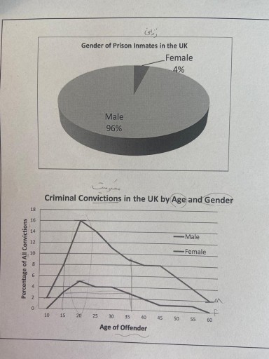 Image for topic: the two figures below show the rate of criminal convictions among men and women of different ages in the uk and the proportion of male and female prison inmates in the british prison system. summarise the information by selecting and reporting the main features and make comparisons where relevant.