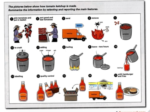 Image for topic: The pictures below show how tomato ketchup is made. Summarize the information by selcting and reporting the main features.