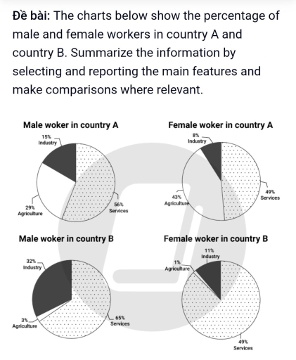 Image for topic: The charts below show the percentage of male and female workers in country A and country B. Summarise the information by selecting and reporting the main features, and make comparisons where relevant.