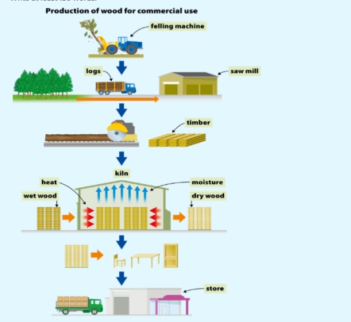 Image for topic: The diagram below shows the process of producing wood for commercial use. Summarise the information by selecting and reporting the main features, and make comparisons where relevant.