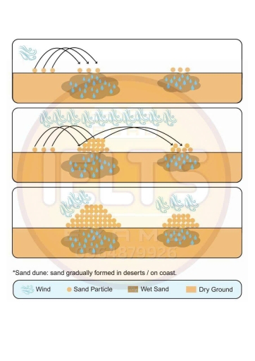 Image for topic: The diagrams below show how sand dunes are formed. Summarize the information by selecting and reporting the main features, and make comparisons where relevant.