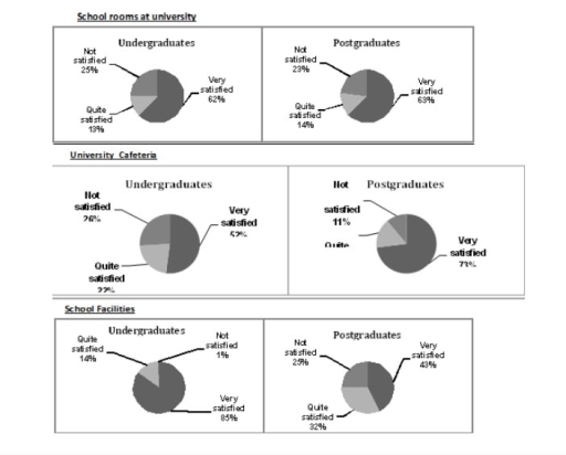 Image for topic: The charts provide information about students in 2007 who were happy with different facilities at a university in the UK.