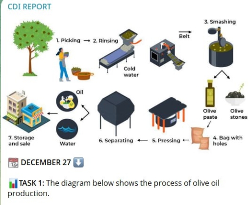 Image for topic: the diagram below shows the production of olive oil. Write a report for a University lecturer describing this information