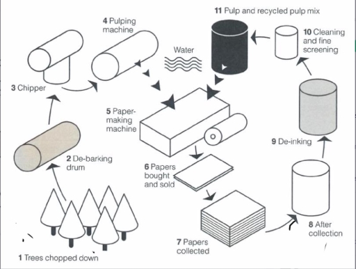 Image for topic: The diagram below shows the process of making paper and then how recycled paper is also made. Summarise the information by selecting and reporting the main features, and make comparisons where relevant.