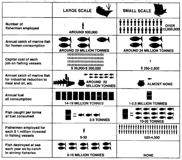 Image for topic: The table compares the data of the work's large-scale and small-scale sea fishing industries.