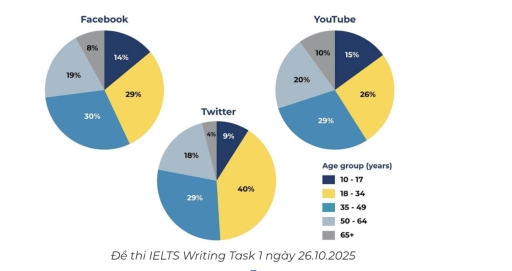 Image for topic: Task 1: The pie charts show the proportion of users across different age groups on three apps:Twitter, Facebook and YouTube. Summarise the information by selecting and reporting the main features, and make comparisons where relevant.